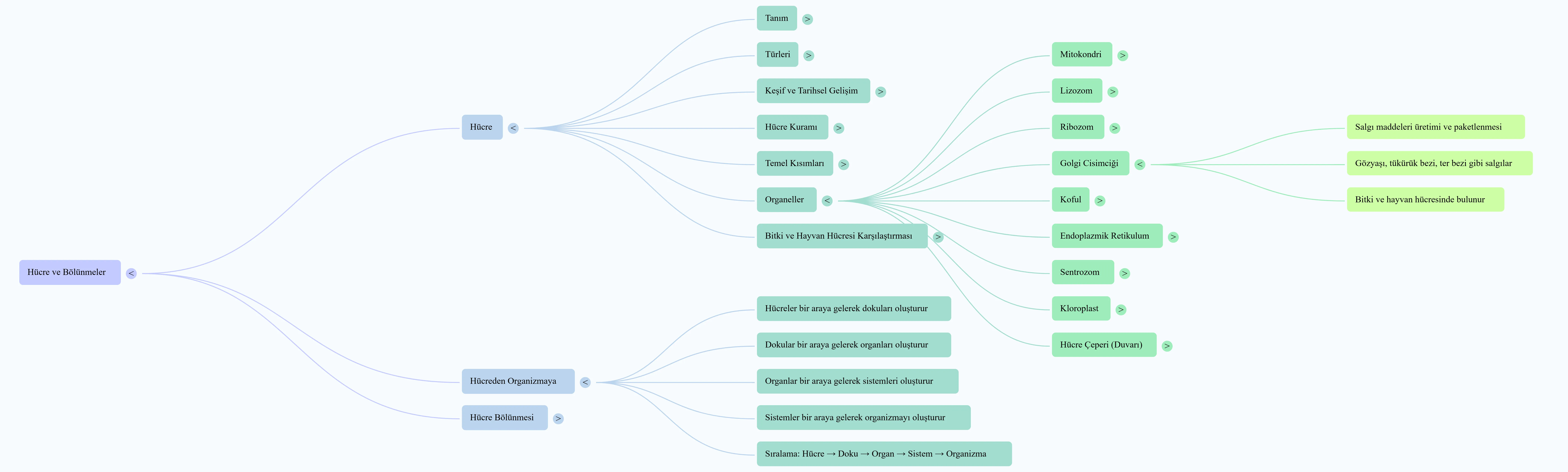 DNA'dan Orginanizmaya